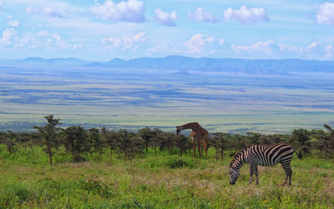 Ngorongoro Crater