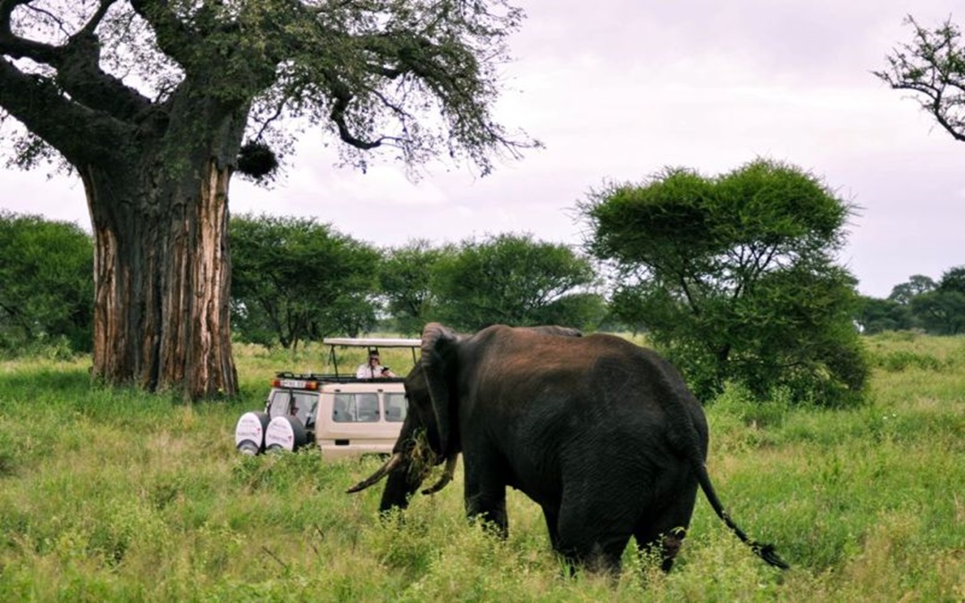 Tarangire National Park