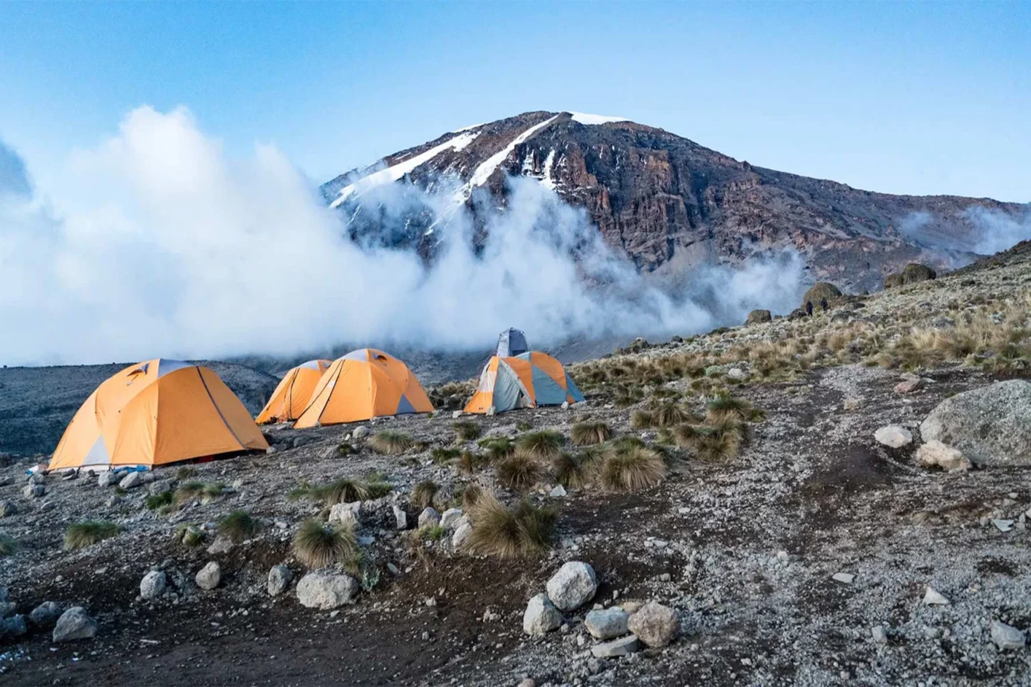 8 Days Kilimanjaro climb VIA Shira/Lemosho route