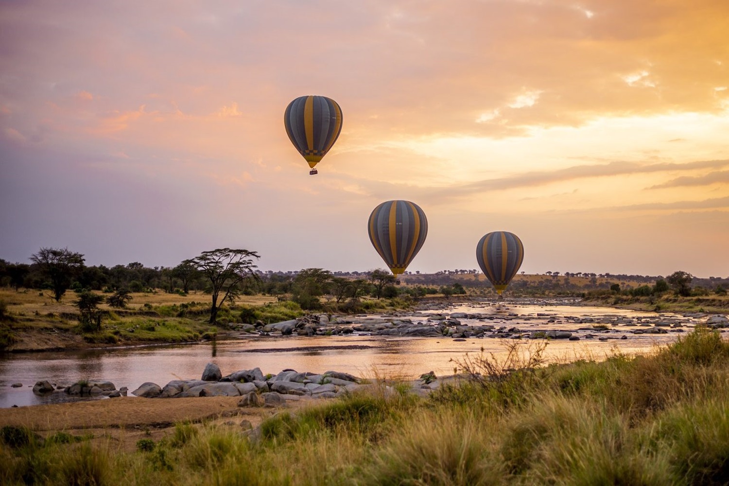 Serengeti Hot Air Balloon In Tarangire National Park and Serengeti National Park