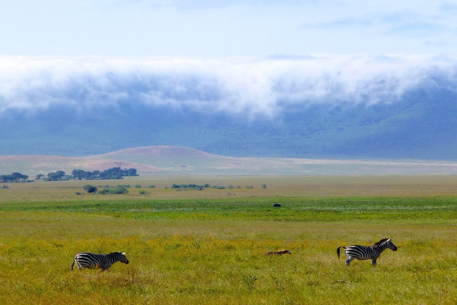 Day Trip To Ngorongoro