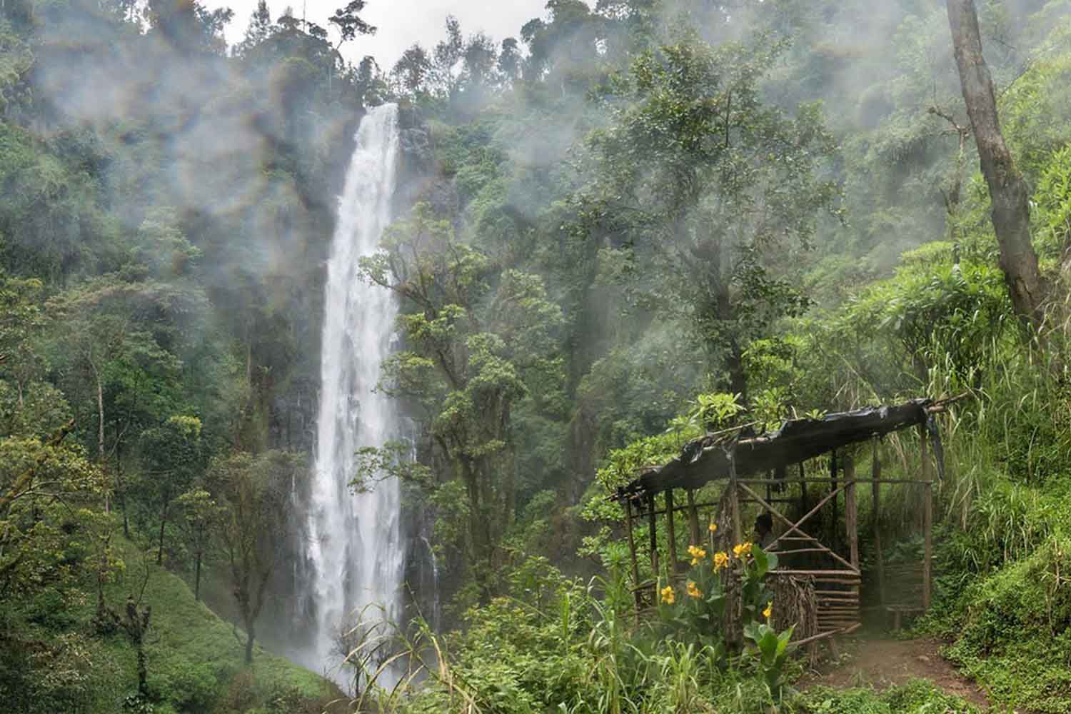 Day Tour Materuni Waterfalls
