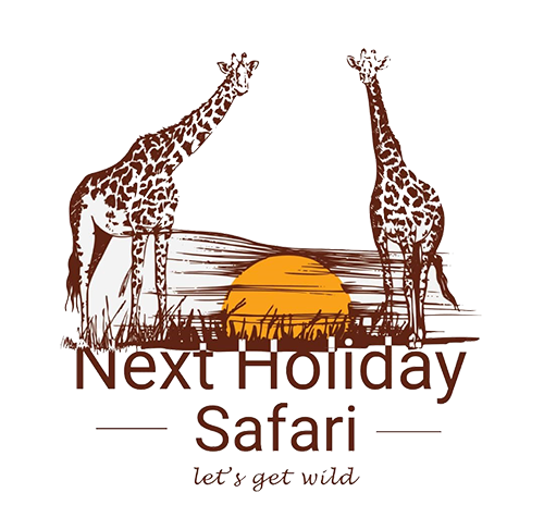 Next Holiday Safaris